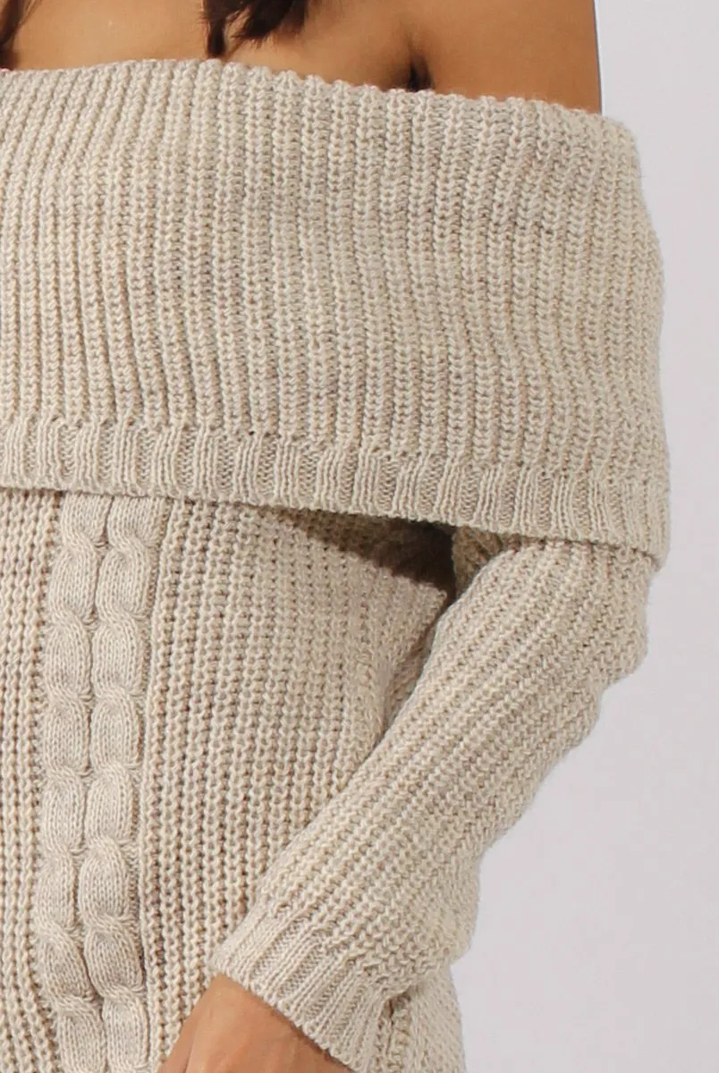 Beige Bardot Heavy Knit Jumper Dress - Suzy