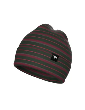 CR3Beanie - Vermont Stripe