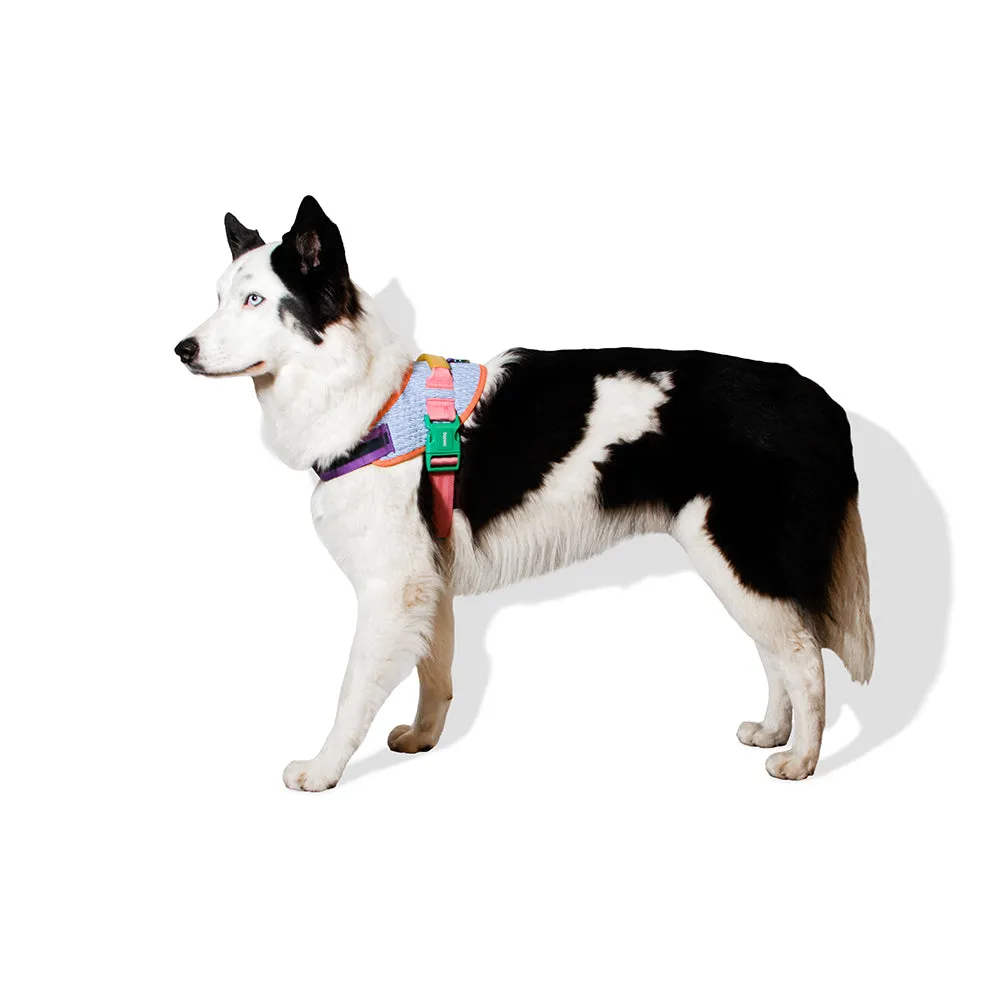 Zee.Dog FlyHarness Galaxy Size 1